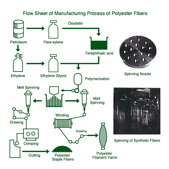 Polyester Manufacturing Diagram