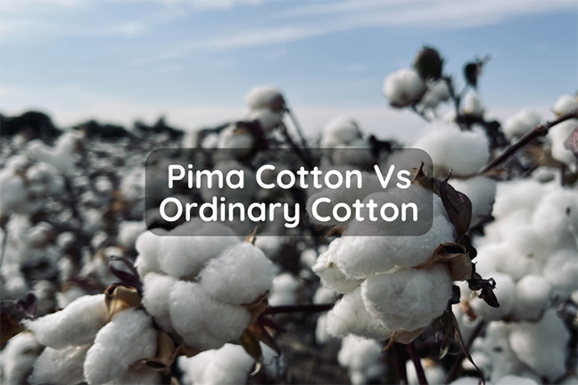 Difference between pima cotton and ordinary cotton