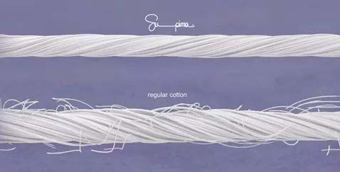 Pima Cotton Vs Ordinary Cotton