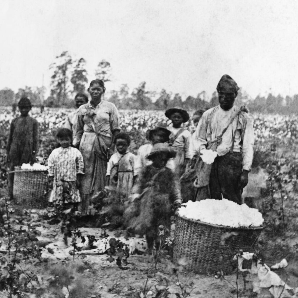 Picking Cotton Slavery